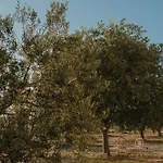 My Dalmatia - Authentic Storia With Private Heated Pool Σπίτι διακοπών *