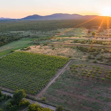 My Dalmatia - Authentic Storia With Private Heated Pool Nyaraló Velika Čista