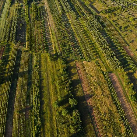 My Dalmatia - Authentic Storia With Private Heated Pool Nyaraló