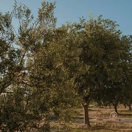 My Dalmatia - Authentic Storia With Private Heated Pool Semesterbostad *