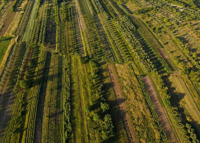 My Dalmatia - Authentic Storia With Private Heated Pool Nyaraló