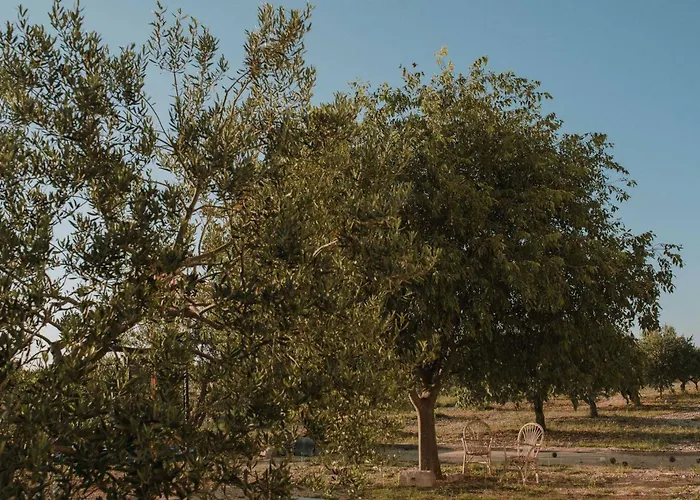My Dalmatia - Authentic Storia With Private Heated Pool Nyaraló *